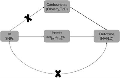 Influence of genetically predicted autoimmune diseases on NAFLD